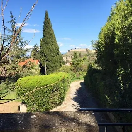 Les Avignon *