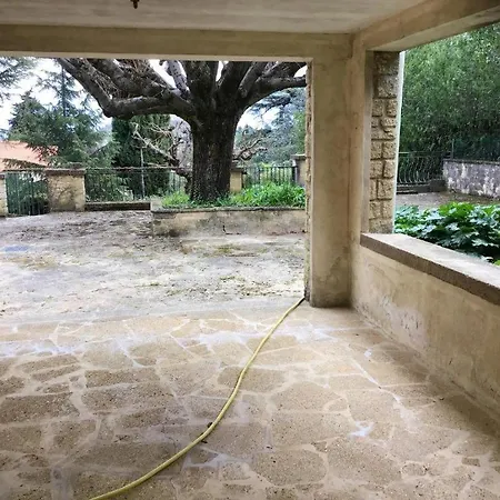 Les Avignon * Villeneuve-lès-Avignon